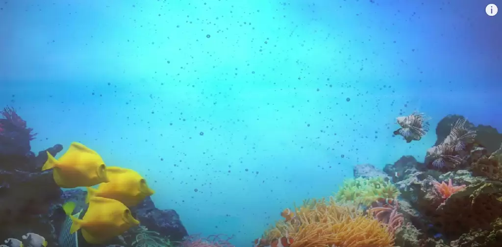 Relaxing Harp Music，Calming Instrumental Background Music