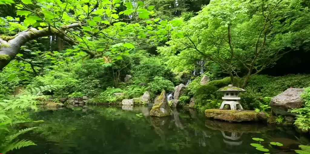 Sleep music and heavenly sounds to relax